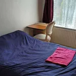 Rent a room of 360 m² in dublin