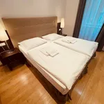 Studio o rozloze 60 m² v Prague