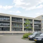 Rent 3 bedroom apartment of 111 m² in Papendrecht