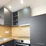 Rent 2 bedroom apartment of 57 m² in Frankfurt