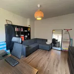 Rent 1 bedroom apartment in Leuven