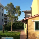 Rent 2 bedroom house of 65 m² in Pisa