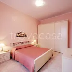 Rent 3 bedroom apartment of 65 m² in Trapani