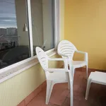 Rent 7 bedroom apartment in Coimbra