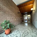 Rent 4 bedroom apartment of 130 m² in Parma