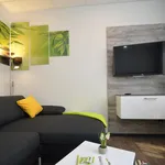 Rent 1 bedroom apartment of 29 m² in Offenbach