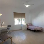 Rent 4 bedroom apartment in Valencia