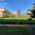 Rent 4 bedroom apartment of 71 m² in Havířov