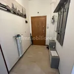 Rent 2 bedroom apartment of 60 m² in Bologna