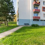 Rent 2 bedroom apartment of 43 m² in tabor