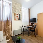 Pronajměte si 1 ložnic/e byt o rozloze 27 m² v Prague