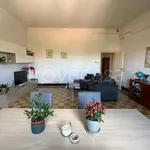 Rent 3 bedroom apartment of 90 m² in Bologna