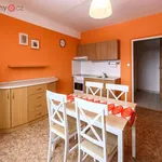 Rent 2 bedroom apartment of 44 m² in Plzeň