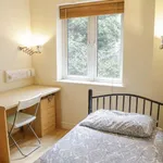 Rent a room in dublin