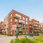 Rent 2 bedroom apartment of 66 m² in Leiden