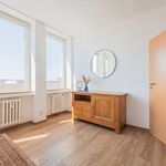Rent 2 bedroom apartment of 45 m² in Kassel