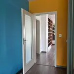 Pronajměte si 4 ložnic/e byt o rozloze 153 m² v Pilsen