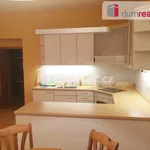 Rent 1 bedroom apartment of 45 m² in Prague