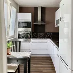 Rent 1 bedroom apartment in Brno