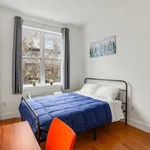 Rent 1 bedroom apartment in New York