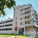 Rent 2 bedroom apartment of 86 m² in Trhový Štěpánov