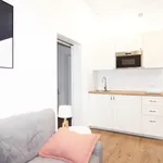 Rent 1 bedroom apartment of 45 m² in Karlovy Vary