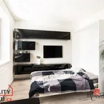 Rent 1 bedroom apartment of 33 m² in Brno