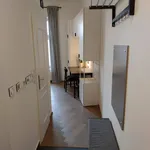 Rent 1 bedroom apartment of 25 m² in Prague