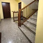 Rent 2 bedroom apartment of 55 m² in Padova