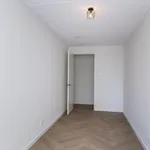 Huur 4 slaapkamer appartement van 119 m² in Den Haag