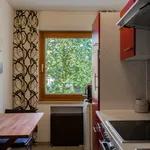 Rent 2 bedroom apartment of 62 m² in Bonn