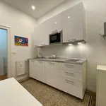 Rent 1 bedroom apartment in Milan