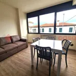 Rent 3 bedroom apartment of 78 m² in Solesino