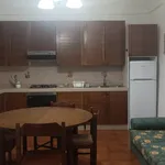 Rent 4 bedroom apartment of 80 m² in Piacenza