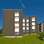 Rent 2 bedroom apartment of 64 m² in Velbert