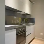 Rent 2 bedroom apartment of 60 m² in Conegliano