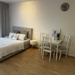 Pronajměte si 1 ložnic/e byt o rozloze 37 m² v Prague