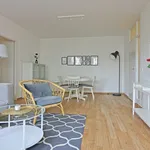 Rent 2 bedroom apartment of 79 m² in Berlin