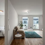 Rent 1 bedroom apartment of 53 m² in Frankfurt