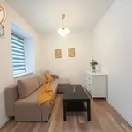 Rent 1 bedroom apartment of 25 m² in Chorzów