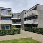 Rent 2 bedroom apartment of 75 m² in GEEL