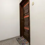 Rent 1 bedroom apartment in Porto