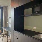 Miete 1 Schlafzimmer wohnung von 17 m² in berlin