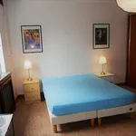 Rent 1 bedroom apartment in Metz