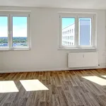 Miete 3 Schlafzimmer wohnung von 63 m² in Halle (Saale)