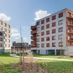 Appartement T2 43.5m2 à louer à Tourcoing - Pichet