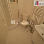 Rent 1 bedroom apartment of 30 m² in Prague