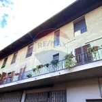 Rent 2 bedroom apartment of 60 m² in Settimo Torinese