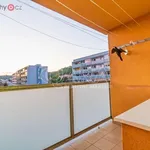 Rent 2 bedroom apartment of 42 m² in Mělník