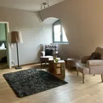 Rent 1 bedroom apartment of 50 m² in Frankfurt